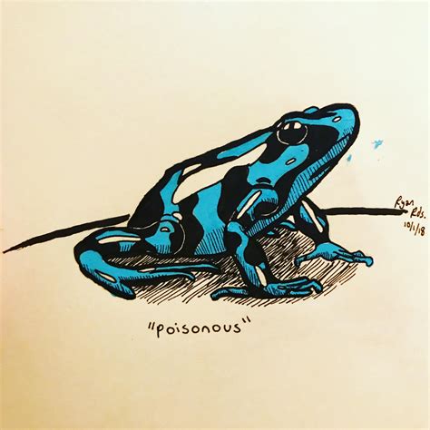 Rainforest frogs clipart cartoon poisonous dart frog png. Poison Dart Frog Drawing Step By Step ~ Drawing Easy