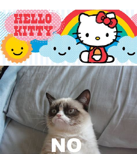 Rainbows Happiness And Sunshine Grumpy Cat Know Your