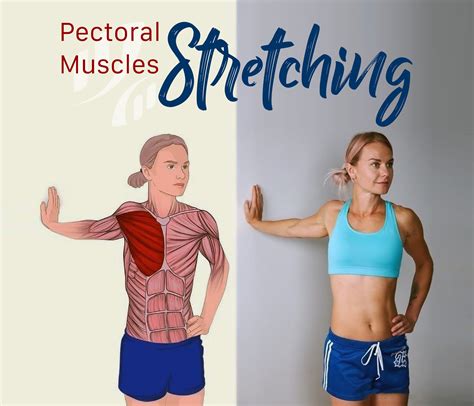 Pectoral Muscles Stretching 🙆‍♀️ Muscles Involved Pectoral Muscles And