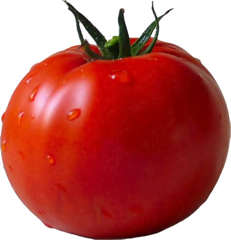 Collection Of HQ Tomato PNG PlusPNG