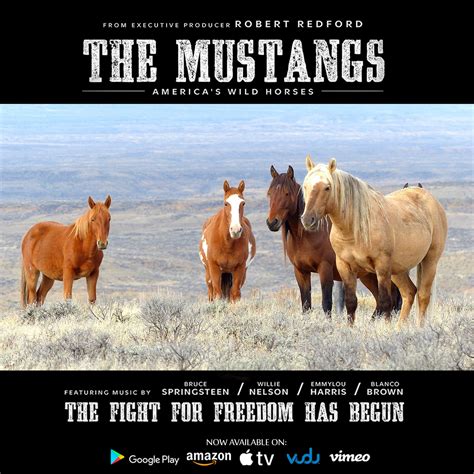 The Mustangs Americas Wild Horses Is Now Available On Vod United