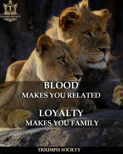 Pin By Melinda On Life Quotes Lion Quotes Life Quotes Lion Love