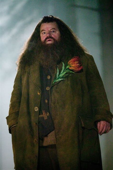 Best 86 Harry Potter Hagrid Images On Pinterest Rubeus Hagrid