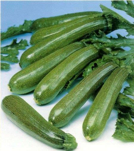 Una deliziosa raccolta con tante idee per portare in tavola le zucchine con fantasia. Come cucinare le zucchine | PourFemme