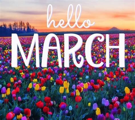 He was born at 11 pm on march 27. Welcome March Good Bye February Quotes | Hello march ...