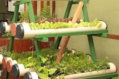 Having vegetable garden is no longer a laborious and expensive dream. Vertical Balcony Garden Ideas | Balcony Garden Web