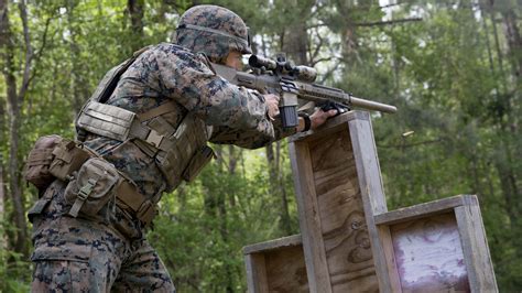 A Marine During A Sniper Course At Usmc Base Camp Lejeune Nc Apr