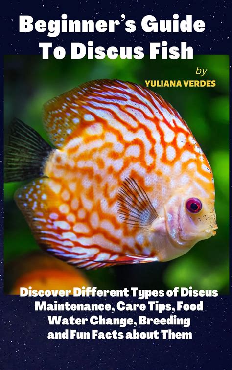 Beginners Guide To Discus Fish Discover Different Types Of Discus