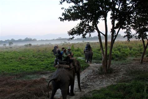 Chitwan Jungle Safari Tour 4 Days Eagle Eye Treks And Expedition