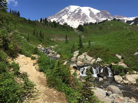 The Best Of Paradise In Mount Rainier National Park Wanderer Writes