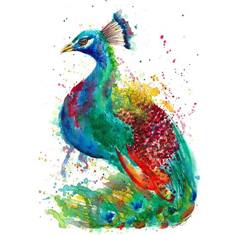 Peacock Painting Illustration Print By Astrid Brisson Watercolor