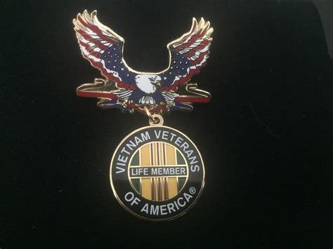 Vietnam Veterans Of America Patriotic Eagle Pin Etsy