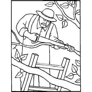 Worksheet america the story us cities worksheet answers three from three branches of government worksheet, source:cathhsli.org. 3 Branches Of Government Tree Sketch Coloring Page