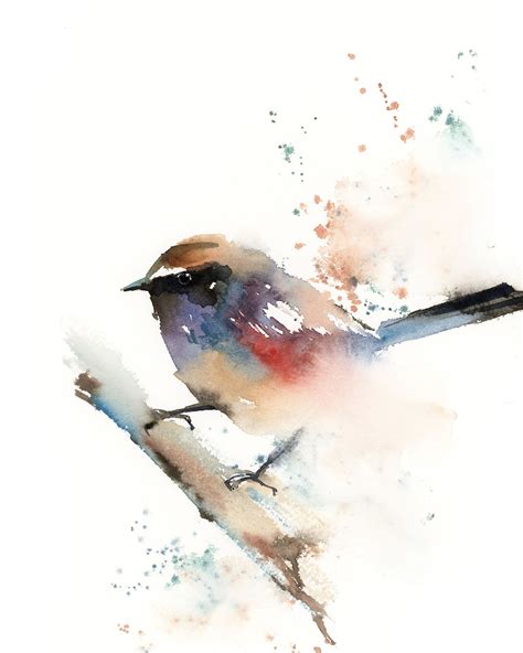 Colorful Wren Bird Fine Art Print Watercolor Loose Style Etsy In 2020