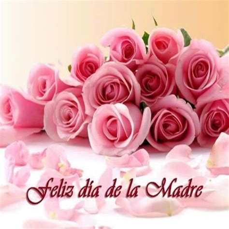 Rose Rose Pink Rose Flower Pink Roses Mothers Day Images Happy