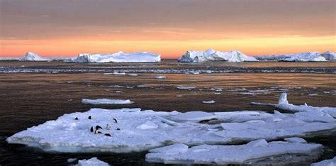 علماء الاحترار العالمي يؤثر على سرعة تيارات البحر وحالة الغطاء الجليدي في قارة القطب الجنوبي