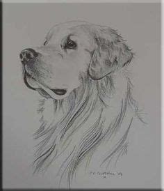 Get even more great ideas about 88+ realistic golden retriever pencil drawing by visiting our recommendation website with link. golden retriever pencil drawing - Google Search | Dieren ...
