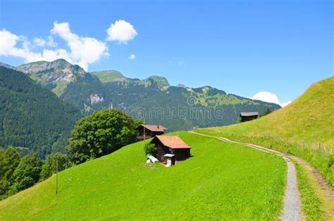 Green Alpine Landscape Above Lauterbrunnen In Switzerland Captured In