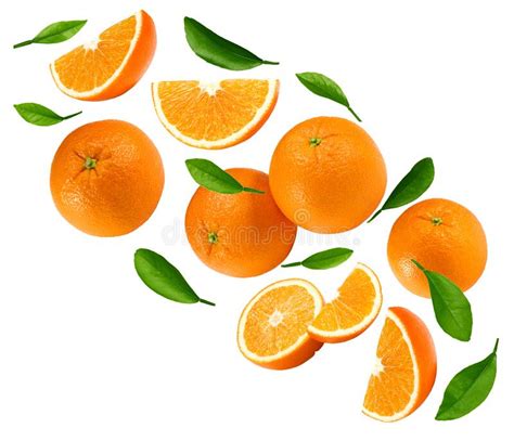 517 Orange Fruits Leaves Isolated White Background Clipping Stock