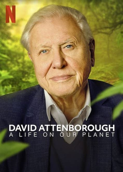 David Attenborough A Life On Our Planet Streaming Netflix The