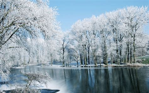 Free Photo Winter Lake Cold Lake Landscape Free Download Jooinn