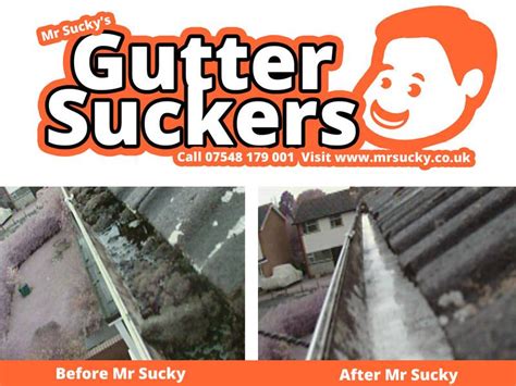 How long does it take to clean gutters? How often should you clean your gutters? - Mr Sucky