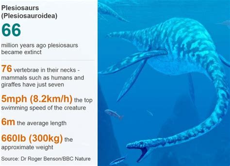Wherever you looked, there were vampires, ghosts, or bony have you ever seen someone put oil on a hinge to make it work easier or stop squeaking? Plesiosaur 'sea monster' bones put back together - BBC News