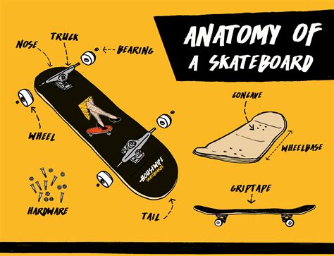 The Anatomy Of A Skateboard — Housewife Skateboards