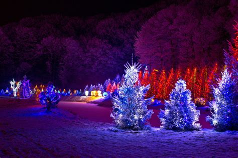 Christmas Lights Outdoor Canada 2023 New Perfect Most Popular Review Of