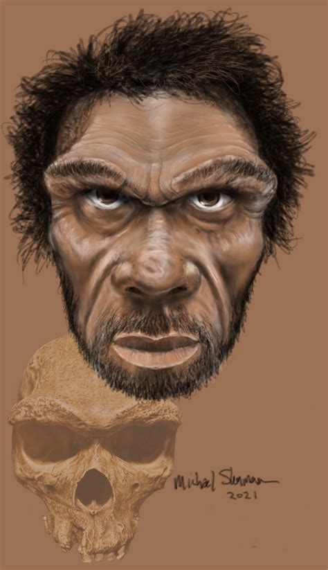 Homo Heidelbergensis By Bogdraw On Deviantart