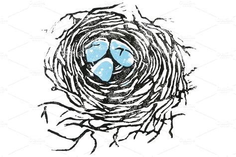 Hand Printed Birds Nest Illustration Illustrations On Creative Market