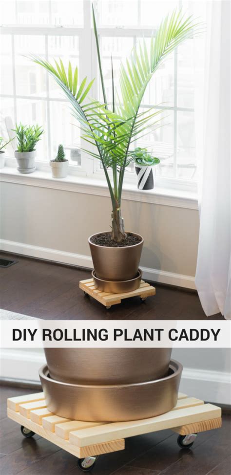 Diy Rolling Plant Caddy Tutorial
