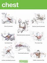 Photos of Muscle Exercise For Chest