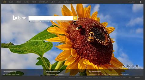 Fotos Auf Bing Microsoft