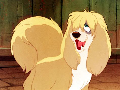 Can You Name The Breed Of These Disney Dogs Playbuzz