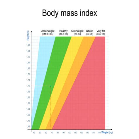 Body Mass Index Stock Photos Pictures And Royalty Free Images Istock