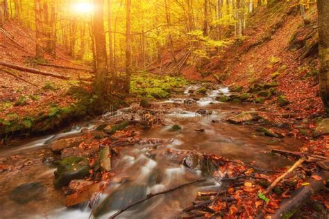 Rapid Mountain River In Autumn Stock Image Image Of Light
