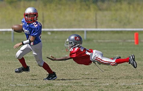 The coins you win on bets, you can withdraw to your fut account. Men 'gamble on pee-wee football games' - WND