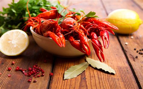 Food Wallpapers HD | PixelsTalk.Net