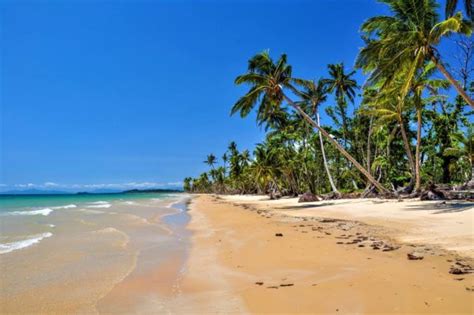 The mission beach dunk island water taxi departs from the beach on banfield parade. Mission Beach in Australien - Top Highlights und Insider ...