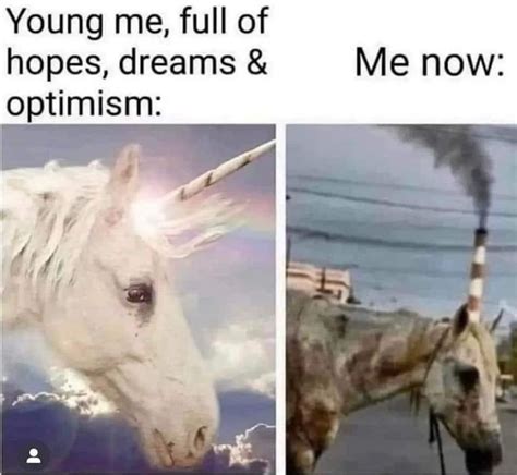 The Best Unicorn Memes Memedroid