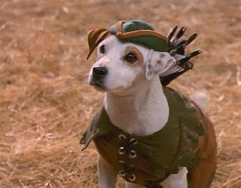 I Learned Everything I Know From Wishbone The Tangential