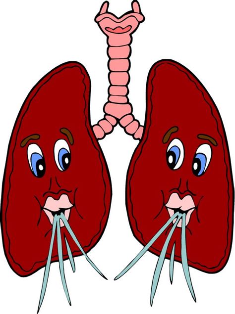 The Human Lung For Kids Clipart With Labels Clipart Best