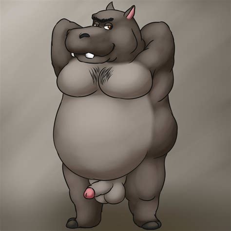 Rule 34 Anthro Belly Hippopotamus Madagascar Series Male Male Only Moto Moto Penis Solo