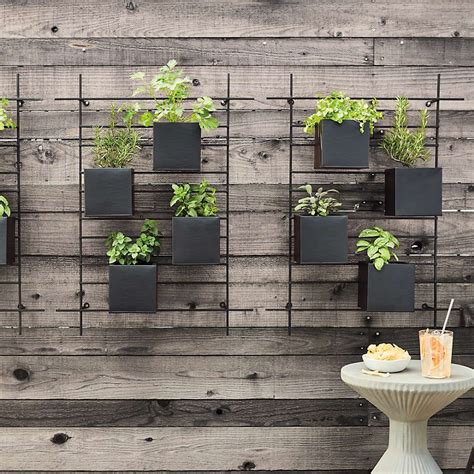 Box Wall Mounted Indoor Outdoor Planter Reviews Crate Barrel