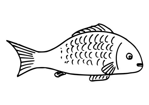 Moreover, you also can find a funny and cute fish design for your kid's coloring pages. Fish Coloring Pages (11) Coloring Kids - Coloring Kids