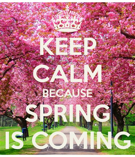 Más De 25 Ideas Increíbles Sobre Spring Is Coming En Pinterest