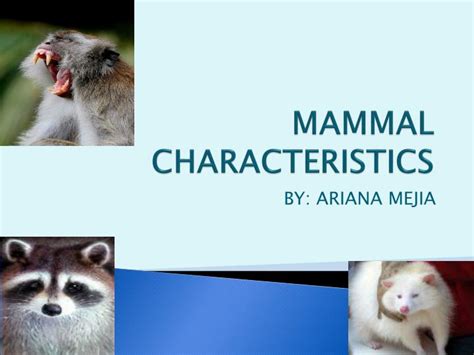 Ppt Mammal Characteristics Powerpoint Presentation Free Download