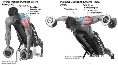20-Minute Full Body Workout for Muscle Mass ~ www.bodybuilding110.com