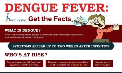 Dengue Fever Symptoms Causes Treatment And Diagnosis Findatopdoc